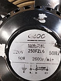 250FZL6, фото 2