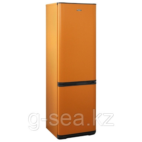 Холодильник Бирюса T127