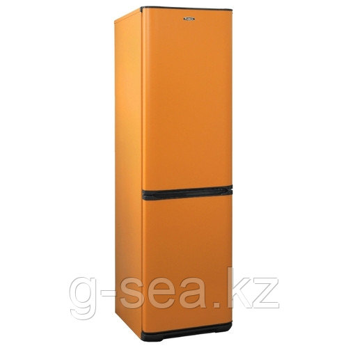 Холодильник Бирюса T380NF