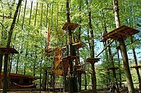 Детский спортивный комплекс Веревочные парки на деревьях