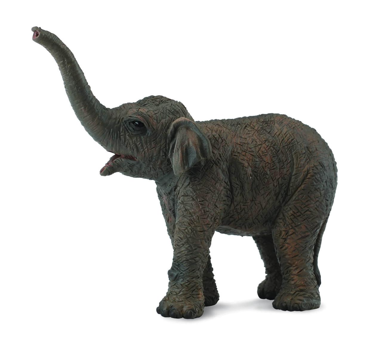 Фигурка Collecta Азиатский слонёнок, S