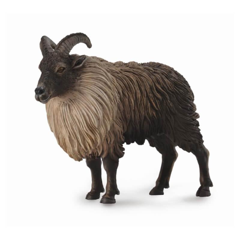 Гималайский тар (L) Collecta