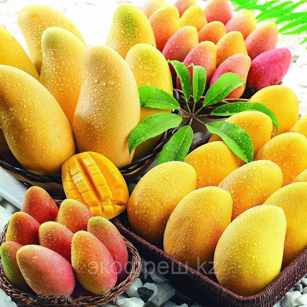 Сухофрукты Манго сушеный, Dried Mango BENEFRUIT на развес