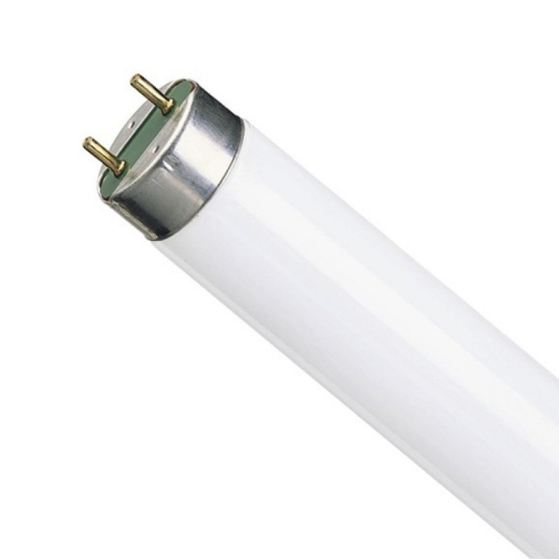 Лампа люминесцентная L18/77 T8 FLUORA OSRAM