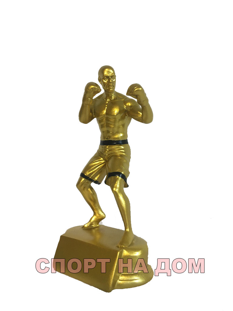 Статуэтка золото "Боец MMA" - фото 1 - id-p69491555