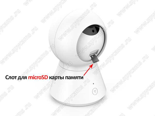 http://www.spycams.ru/slider/1000/Amazon-K2-AW2-8GS-3.jpg