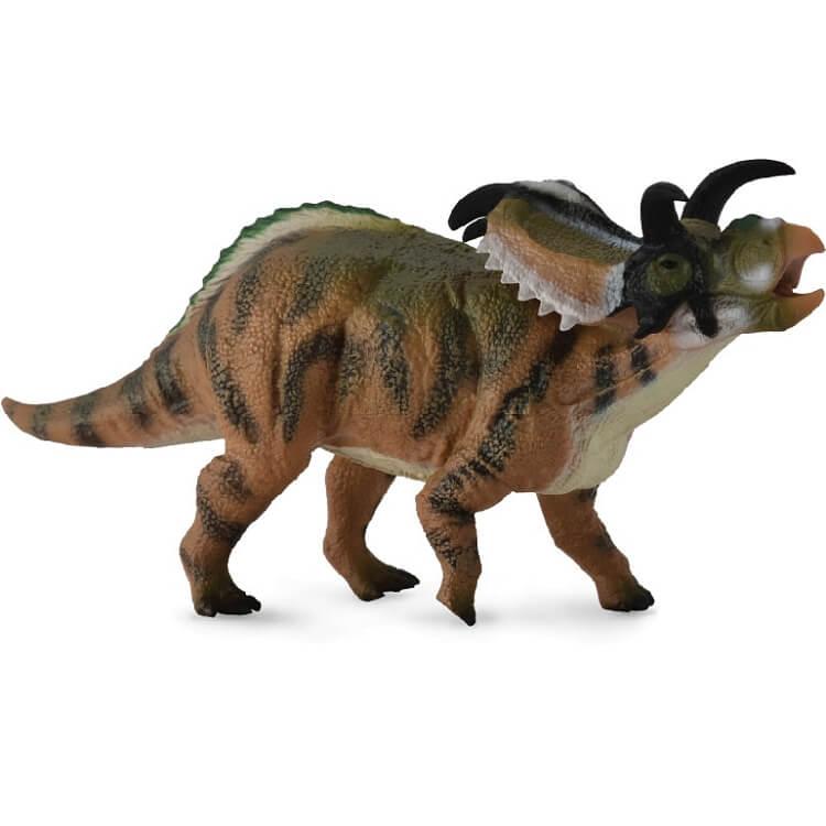 Медузацератопс, L Collecta