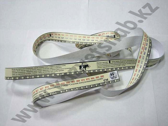 Александра Николаенко порно