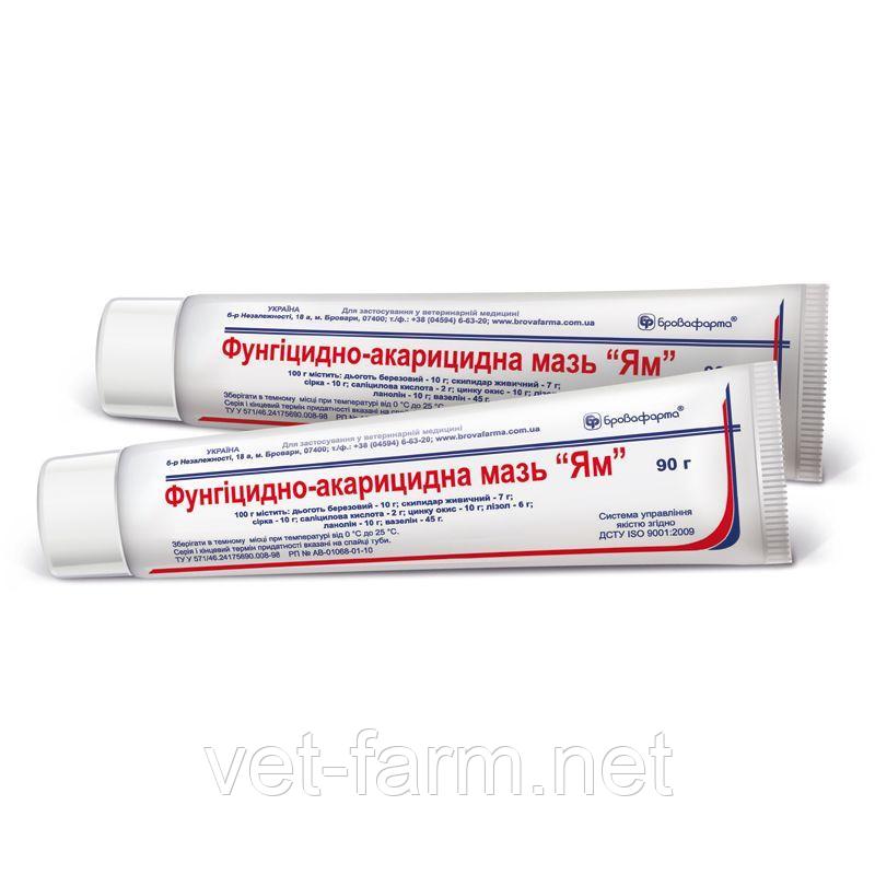 Мазь Ям (90 гр), фото 1