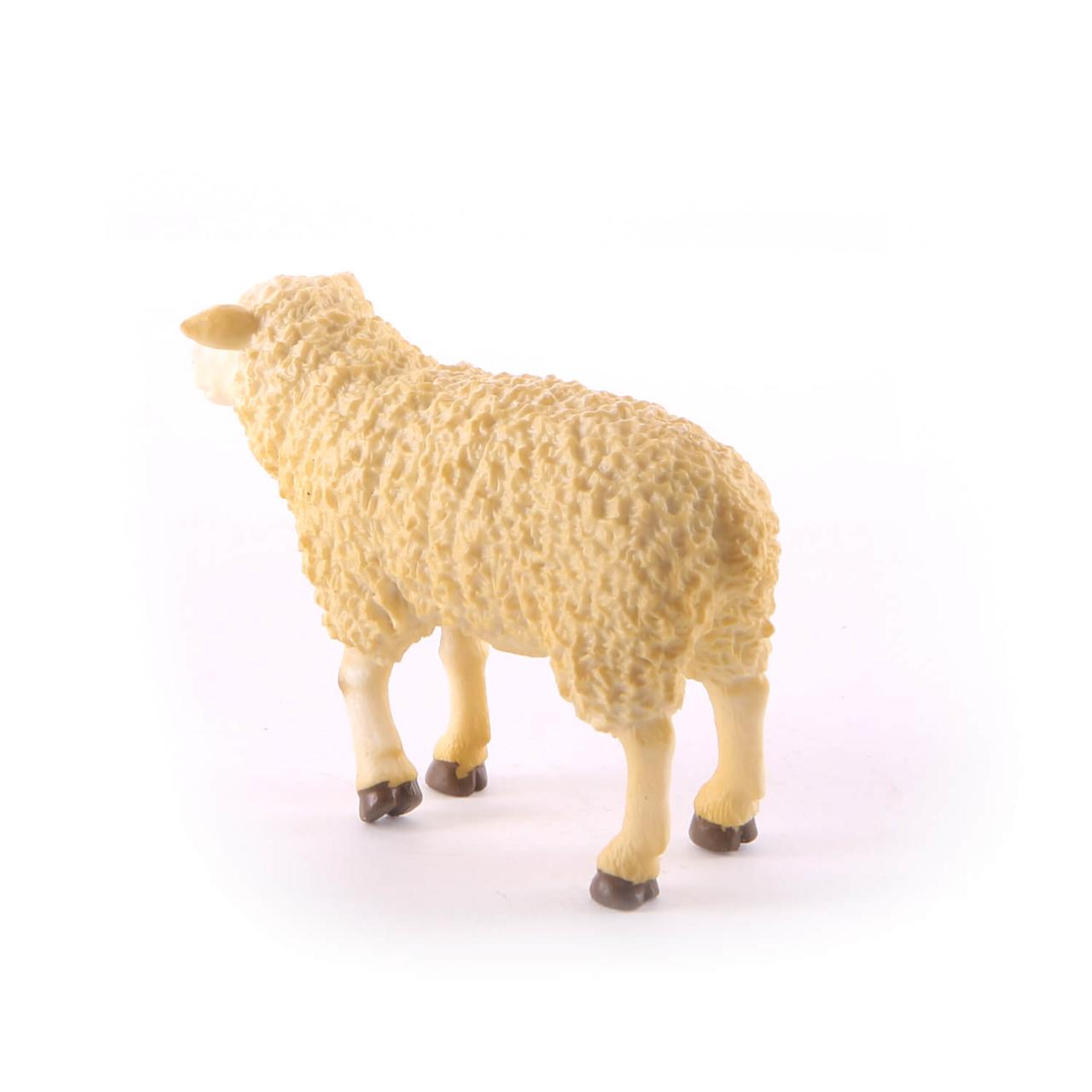 Овца , M Collecta