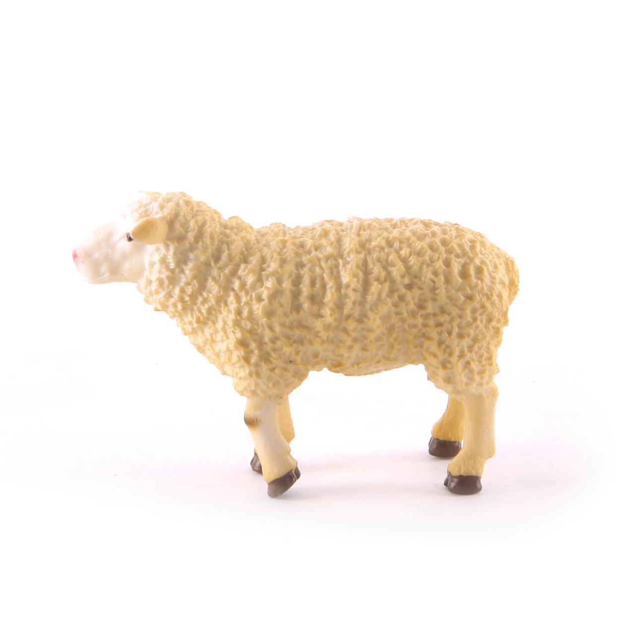 Овца , M Collecta