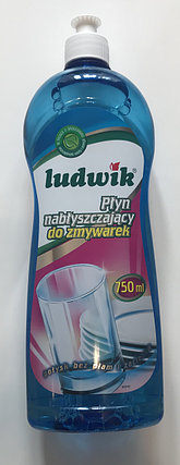 Ludwik Ополаскиватель для посудомоечных машин, фото 2