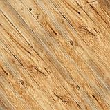WOOD NATURAL - набор двусторонней бумаги 30,5см х 30,5см, фото 9