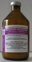 Амоксициллин инъекционный