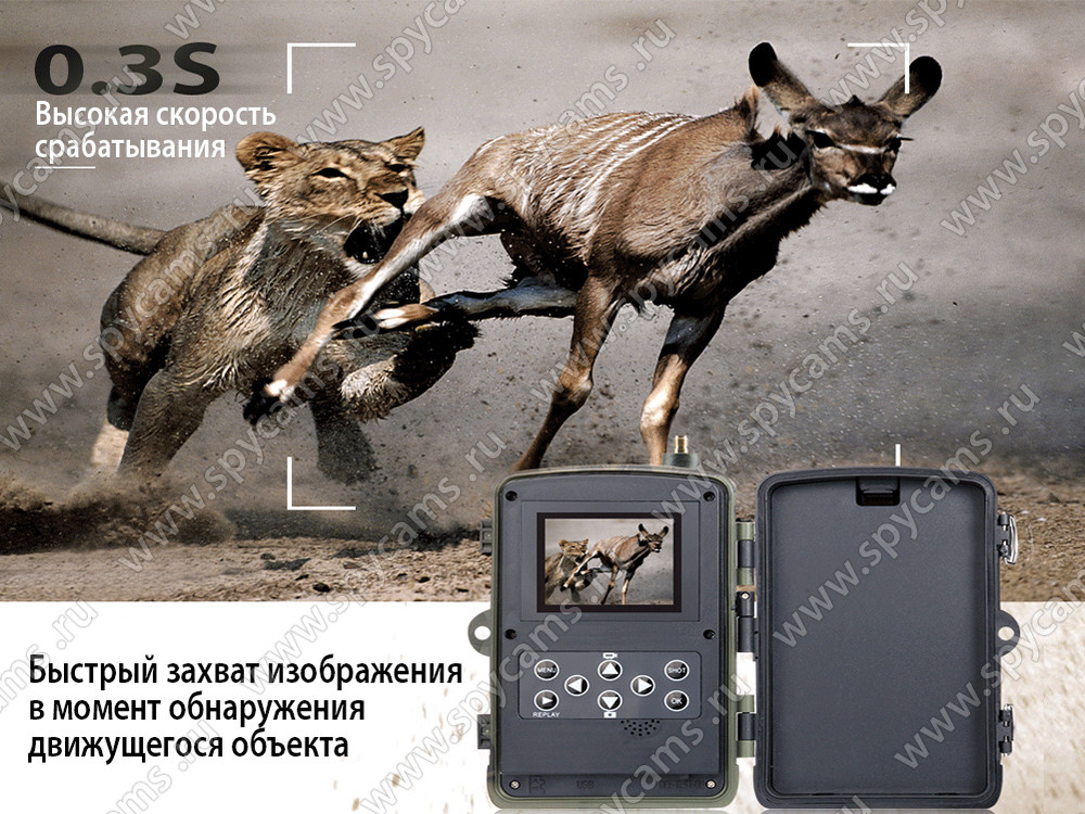 Фотоловушка Suntek Филин HC-801 LTE-Li-4G - фото 2 - id-p69620548