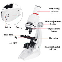 Микроскоп детский с подсветкой и держателем для смартфона [увеличение до 1200х] с набором аксессуаров, фото 3