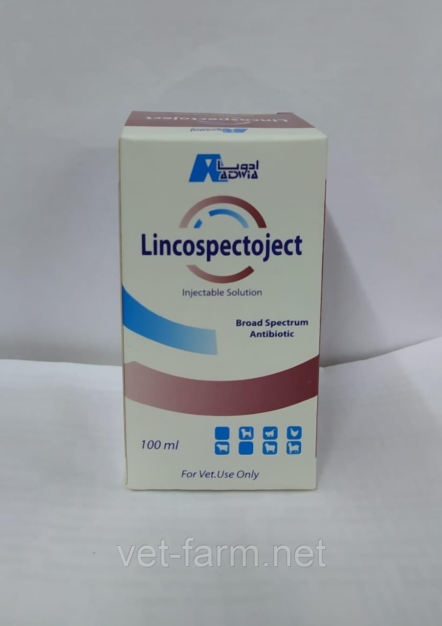 LINCOSPECTOJECT. (Injection)