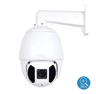 Плейбой қыздар порно онлайн