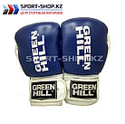 Боксерские перчатки GREEN HILL (LEGEND), фото 2