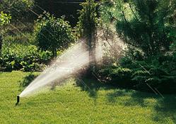 Полив автоматический; TERRA