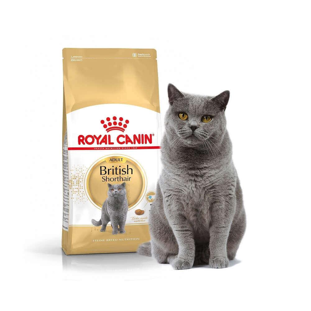 Royal Canin (Роял Канин) Корм для британцев, развес