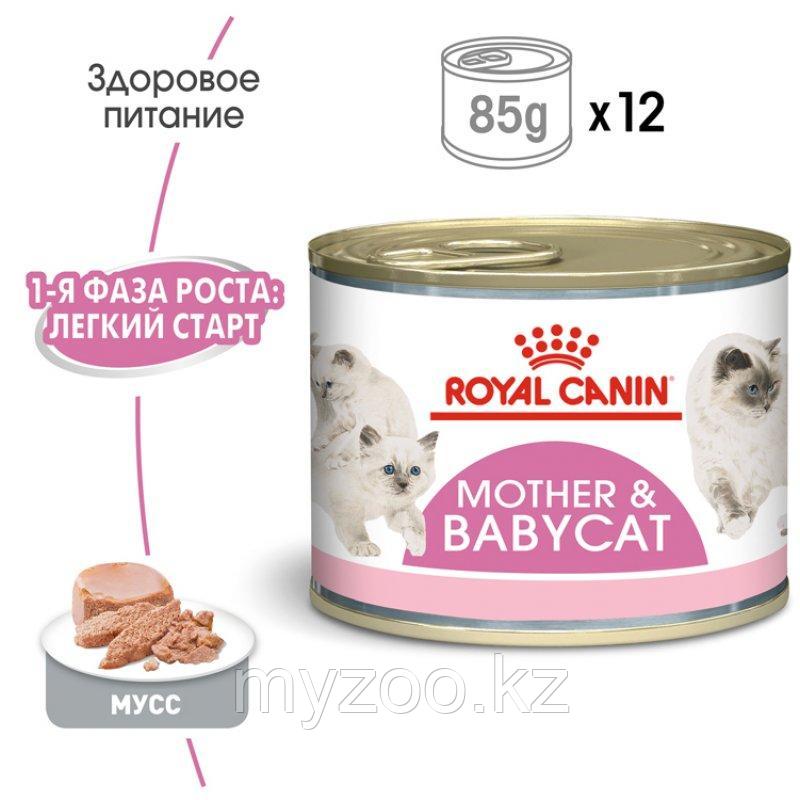 Влажный корм для кормящих кошек и котят до 4х месяцев Royal Canin MOTHER& BABY CAT 195 g