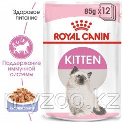 Влажный корм в желе для котят Royal Canin KITTEN IN JELLY 1*85G