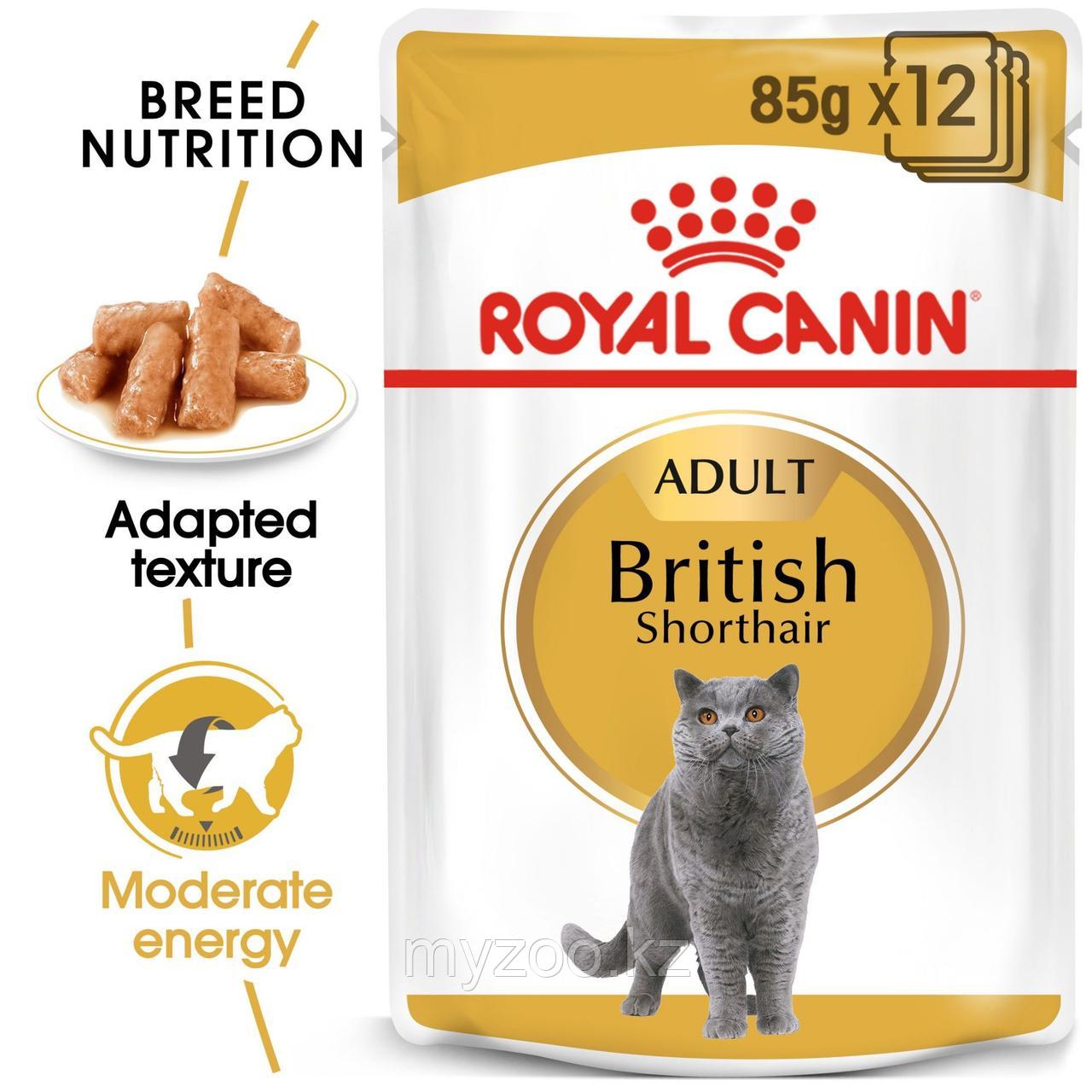 Влажный корм для кошек британской породы Royal Canin BRITISH SHORTHAIR 1*85