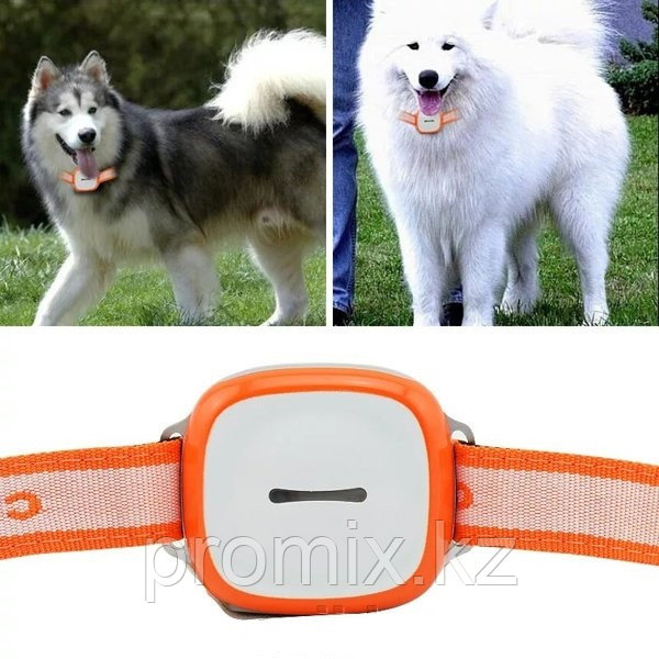 GPS трекер для собак GT011 - фото 6 - id-p69918304