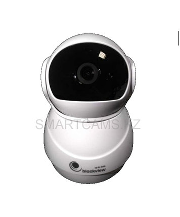 Онлайн камера видеонаблюдения EC-50-011, фото 2