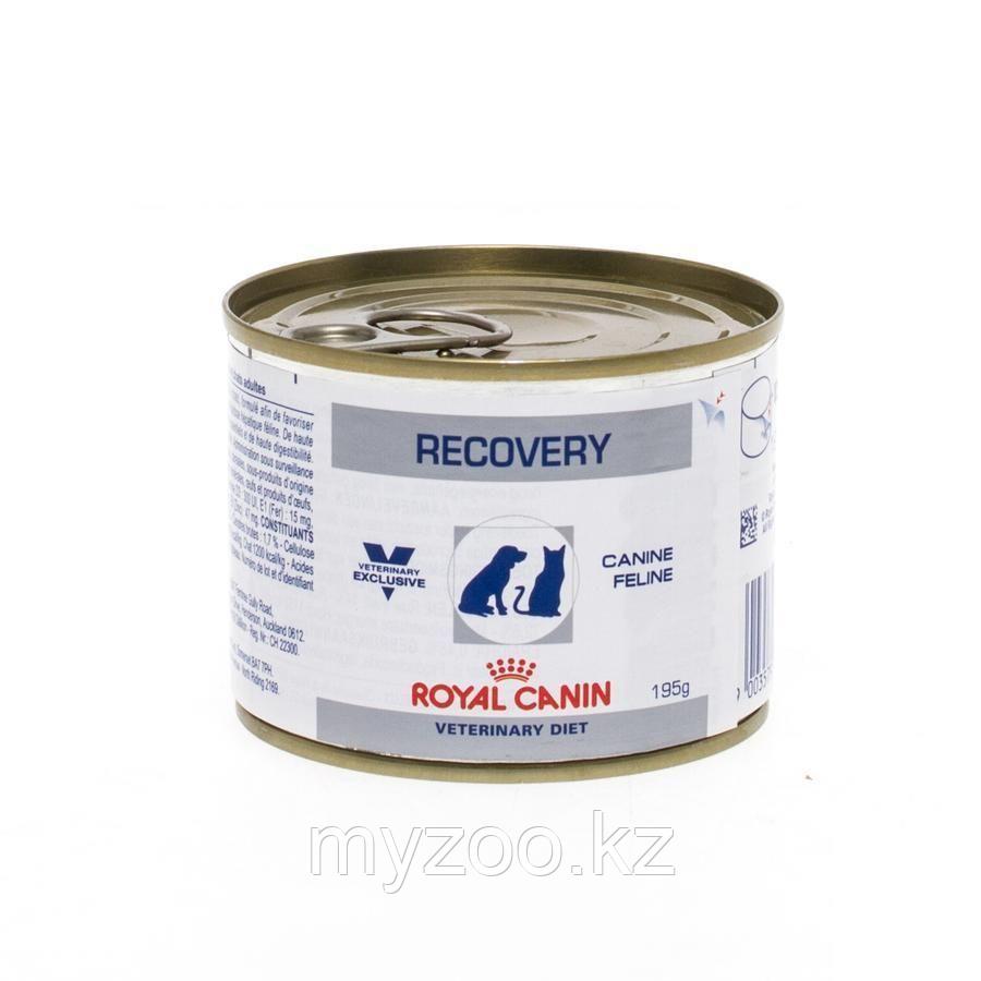 Влажный корм для собак в послеоперационный период Royal Canin RECOVERY FEL/CAN 195 g