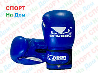 Боксерские перчатки BADBOY кожа (синий)