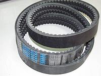 Ремень клиновый двухрядный D6CB Hyundai Universe 256568D000