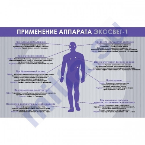 http://milta.su/image/cache/data/Ecosvet/Ecosvet1/ecosvet2-500x500_0.jpg