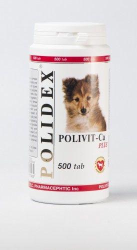 Полидекс Поливит – Кальций плюс 500 таб.