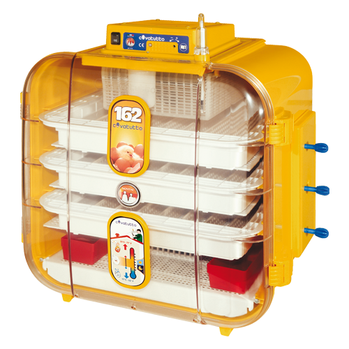 Novital Covatutto 162 автоматический инкубатор бытовой для яиц