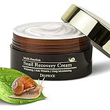 Восстанавливающий крем для лица с фильтратом слизи улитки,Deoproce Snail Recovery Cream, фото 2