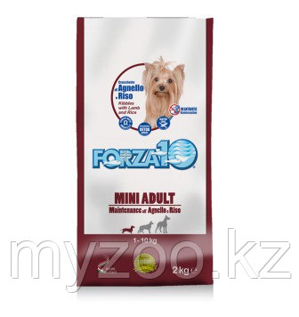 Forza10 SMALL/MEDIUM ADULT MAINTENANCE Agnello&Riso для собак мелких и средних пород ягненок и рис,2кг.
