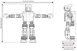 Образовательный человекоподобный робот-конструктор Robotis DARwin-Mini, фото 3