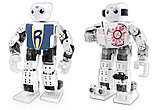 Образовательный человекоподобный робот-конструктор Robotis DARwin-Mini, фото 4