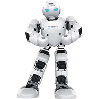 Гуманоидный робот Robot Alpha 1E