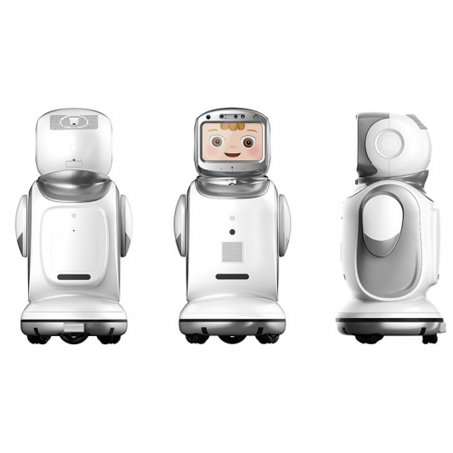 Робот SANBOT NANO