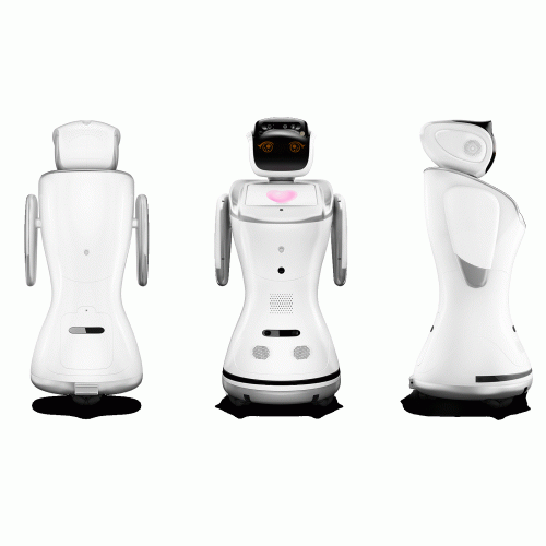 Робот SANBOT ELF