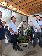 Семинар "Промышленное выращивание смородины. Перспективные сорта".