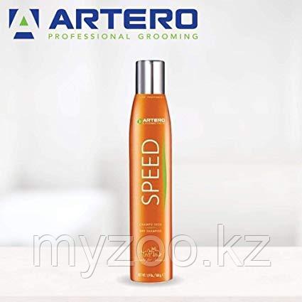 Artero Dry Shampoo Сухой шампунь 300 мл