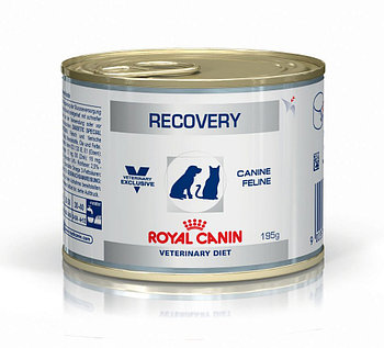 Влажный корм для кошек в послеоперационный период Royal Canin RECOVERY FEL/CAN 195 g