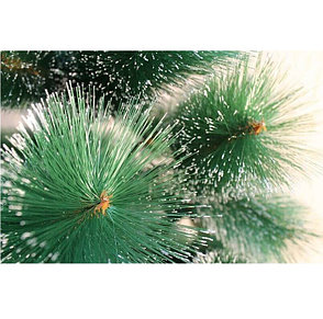 Искусственная елка "Новогодняя" 150 см с заснеженными иголками и шишками, фото 2