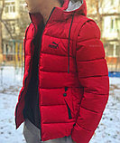 Куртка зимняя, фото 2