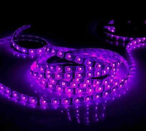 Лента светодиодная RGB SMD 5050 - фото 6 - id-p70216410