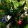 Набор елочных шаров с декоративным покрытием трех видов в тубе (Разноцветный / 2,5 см), фото 7